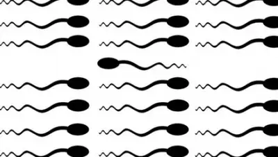 Zakon.kz, фото - Новости Zakon.kz от 10.05.2015 23:58