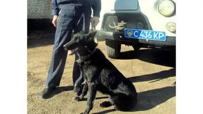 Zakon.kz, фото - Новости Zakon.kz от 09.04.2014 03:02