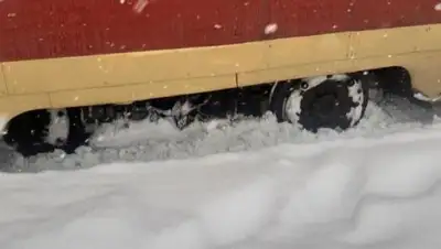 yk-news.kz, фото - Новости Zakon.kz от 20.02.2020 10:08