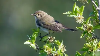 Полемика, фото - Новости Zakon.kz от 21.04.2020 06:02