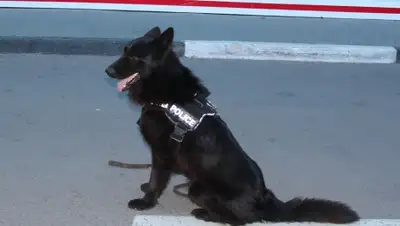 Zakon.kz, фото - Новости Zakon.kz от 05.11.2015 18:15