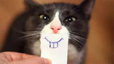 Zakon.kz, фото - Новости Zakon.kz от 03.07.2014 16:51