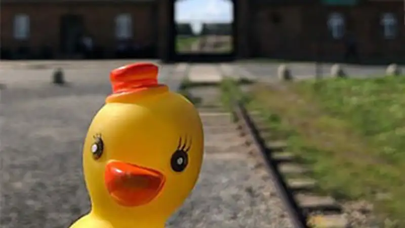 Фото с уткой на фоне Освенцима разгневало пользователей соцсетей