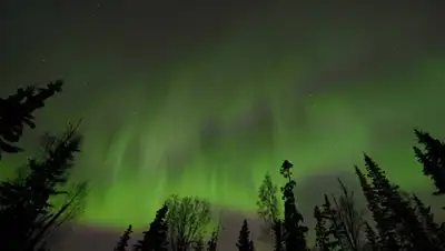 Zakon.kz, фото - Новости Zakon.kz от 06.01.2015 16:04