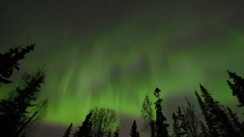 Жители севера России полюбовались полярным сиянием