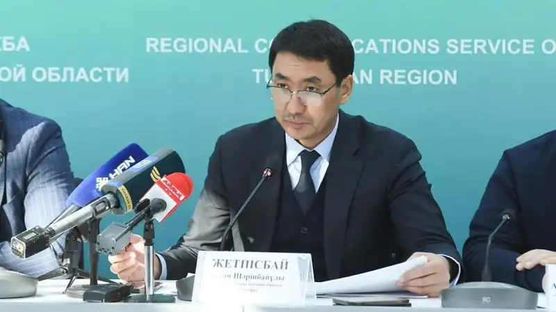 В Туркестанской области поставки угля находятся под строгим контролем