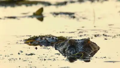 Zakon.kz, фото - Новости Zakon.kz от 29.12.2015 23:17