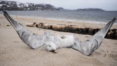 fantlab.ru, фото - Новости Zakon.kz от 10.09.2020 23:31