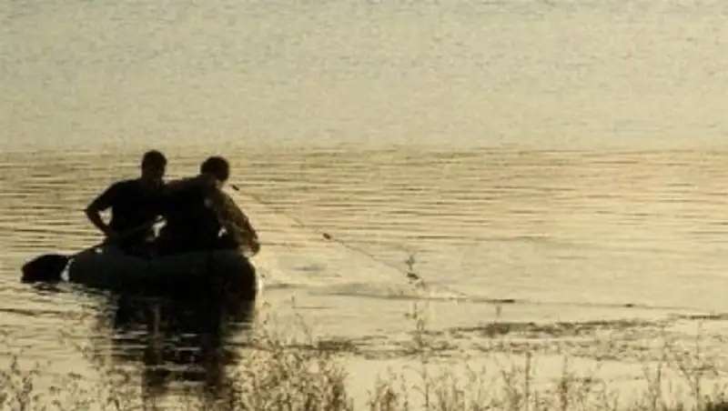 В Алматинской области браконьеры ловили рыбу при помощи электротока
