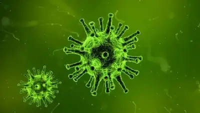 Болезнь, фото - Новости Zakon.kz от 17.02.2022 11:12