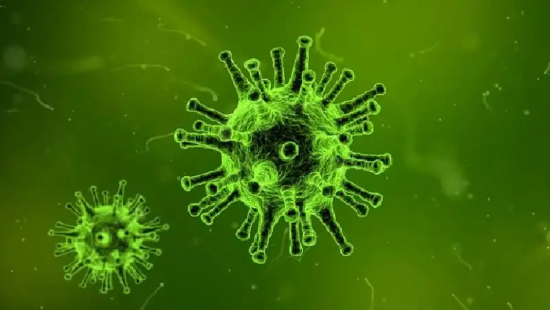 Эбола, Хантавирус, Крым-Конго – Топ-10 самых опасных вирусов