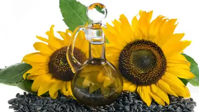 maslica.ru, фото - Новости Zakon.kz от 18.11.2019 10:44