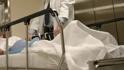 Zakon.kz, фото - Новости Zakon.kz от 10.04.2017 20:21