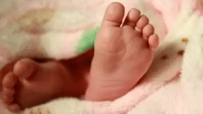 Zakon.kz, фото - Новости Zakon.kz от 28.05.2017 03:00