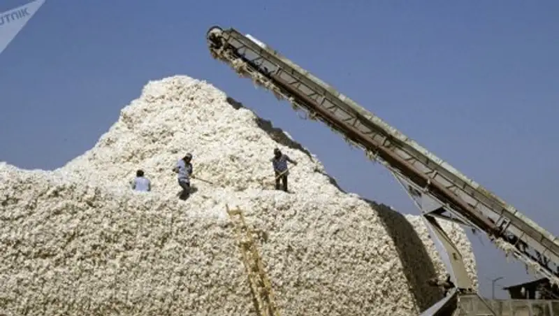 Подросток задохнулся под тонной хлопка в ЮКО