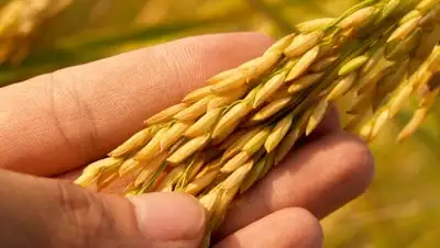 pxhere.com, фото - Новости Zakon.kz от 13.02.2019 18:48