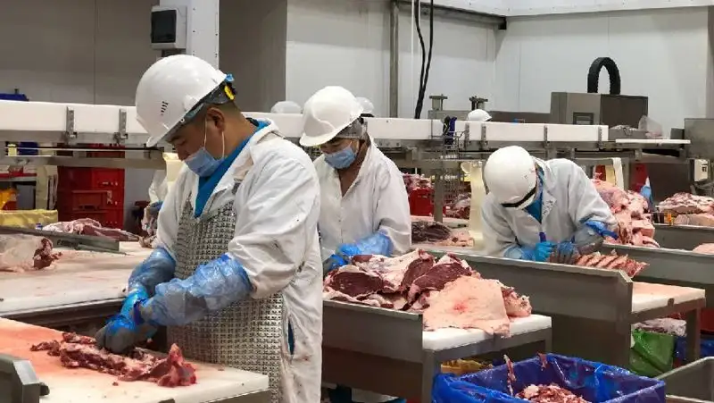 Конина подорожала на 16,5% за год в Казахстане