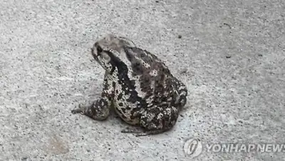 Zakon.kz, фото - Новости Zakon.kz от 21.04.2017 22:31