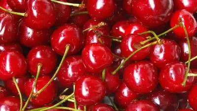 Depositphotos, фото - Новости Zakon.kz от 06.07.2021 06:10