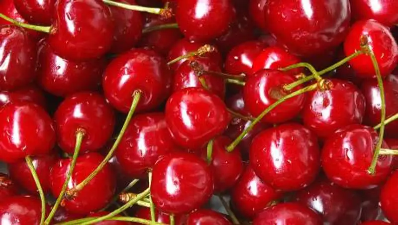 Диетолог назвала продукты с бодрящим эффектом