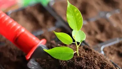 Zakon.kz, фото - Новости Zakon.kz от 05.07.2016 16:18