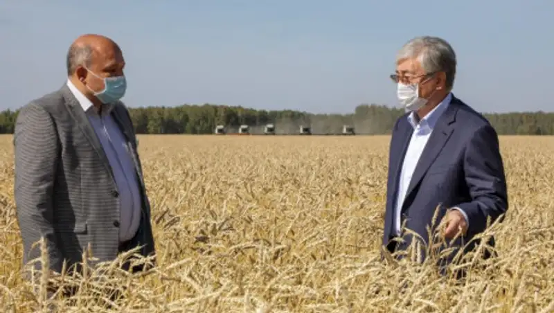 Токаев осмотрел поля Северо-Казахстанской области