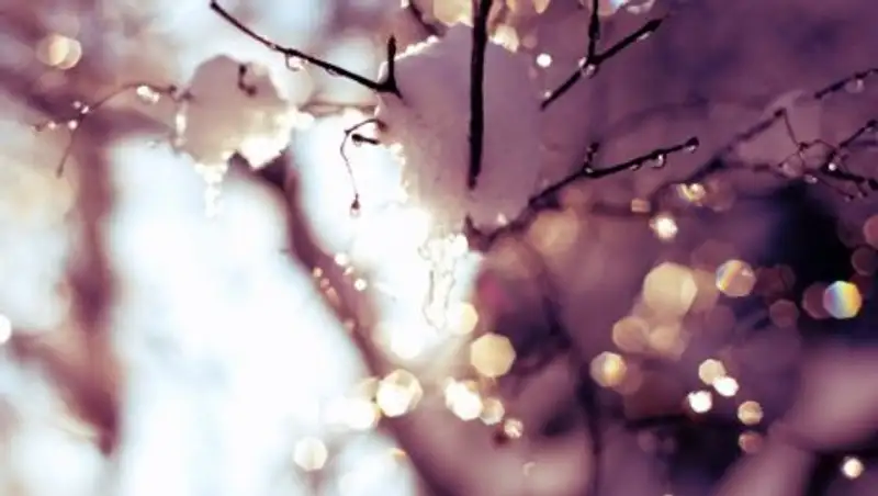 В некоторых районах Казахстана 22 марта ожидаются осадки