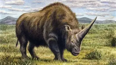 Zakon.kz, фото - Новости Zakon.kz от 23.03.2016 15:05