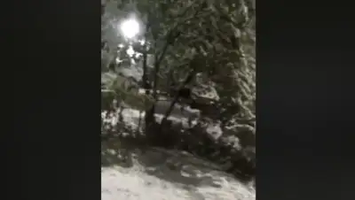 Facebook/Клара Камарова, фото - Новости Zakon.kz от 09.04.2020 10:14