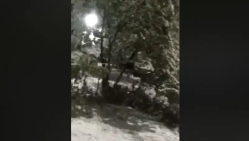 Снег пошел на юге Казахстана в апреле