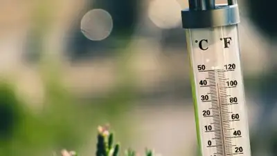 pixabay.com, фото - Новости Zakon.kz от 02.08.2021 16:28