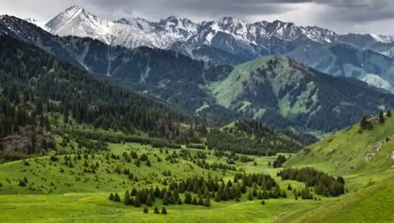 В Алматы началась процедура по возврату Кок-Жайляу в Иле-Алатауский нацпарк