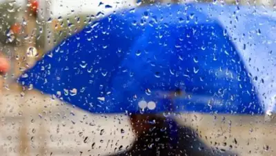 BNews.kz, фото - Новости Zakon.kz от 03.10.2018 09:09