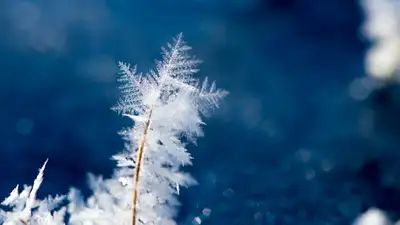 Снег, метель, туман и 34-градусные морозы ожидаются в Казахстане, фото - Новости Zakon.kz от 02.12.2022 12:07