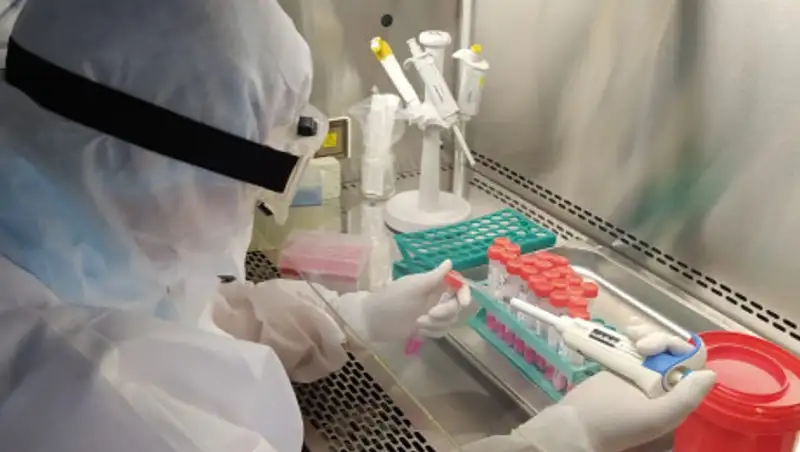 В Жамбылской области дополнительно открыли 4 лаборатории для диагностики коронавируса