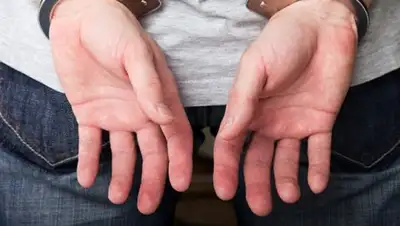 Zakon.kz, фото - Новости Zakon.kz от 24.04.2017 17:23