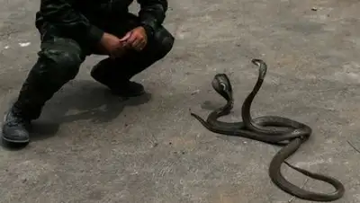 Athit Perawongmetha/ Reuters, фото - Новости Zakon.kz от 17.03.2018 17:55