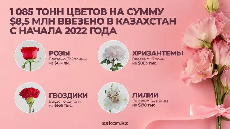 цветы, фото - Новости Zakon.kz от 05.03.2022 10:12