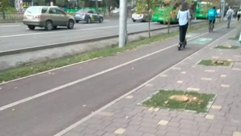 В Алматы вырубили 27 деревьев по проспекту Абая