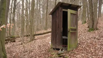 pxhere.com, фото - Новости Zakon.kz от 29.05.2019 12:24