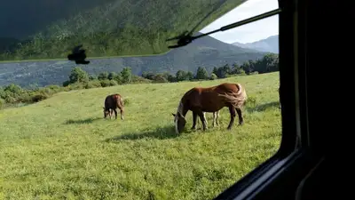 природа, фото - Новости Zakon.kz от 20.08.2023 13:25