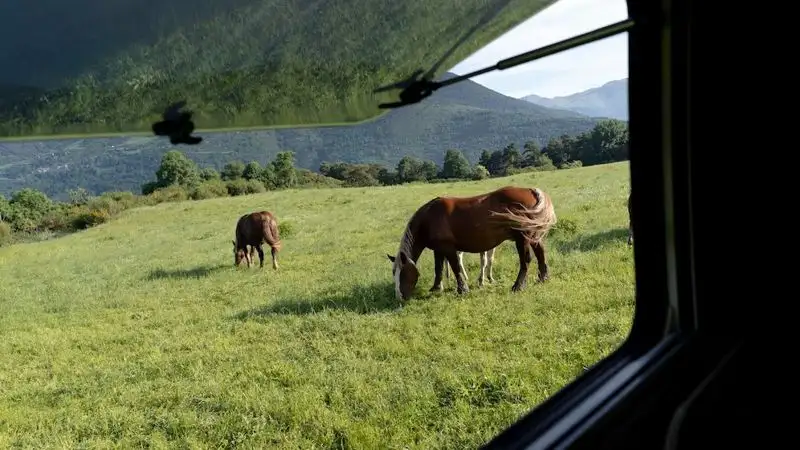 Гороскоп для всех знаков зодиака на 20 августа
