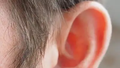 Pixabay, фото - Новости Zakon.kz от 06.12.2020 16:02