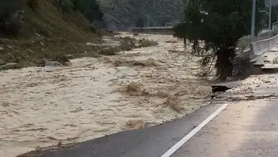 Фото: © РИА Новости, фото - Новости Zakon.kz от 23.12.2017 10:29