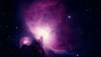 Pixabay, фото - Новости Zakon.kz от 22.05.2021 16:03