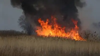 zakon.kz / Павел Михеев, фото - Новости Zakon.kz от 09.08.2021 22:44