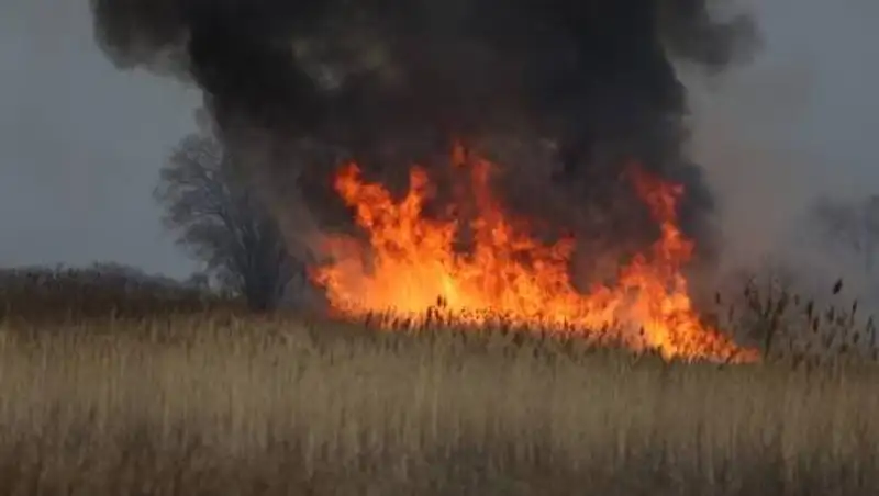 Огонь уничтожил тысячи гектаров сельхозугодий в Казахстане