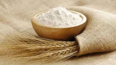 Казах-Зерно, фото - Новости Zakon.kz от 09.04.2018 09:17