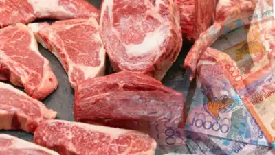 МСХ РК, фото - Новости Zakon.kz от 20.02.2020 19:48