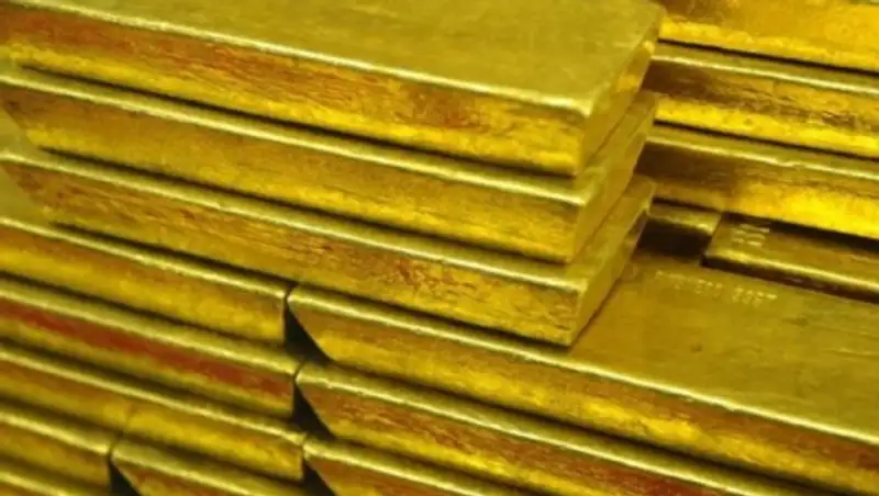 Двое жителей Польши утверждают, что нашли золото нацистов